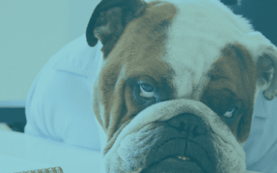 7 Key Social Media Posts for B2B Companies