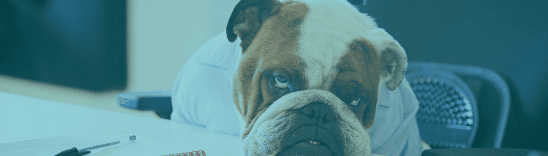 7 Key Social Media Posts for B2B Companies